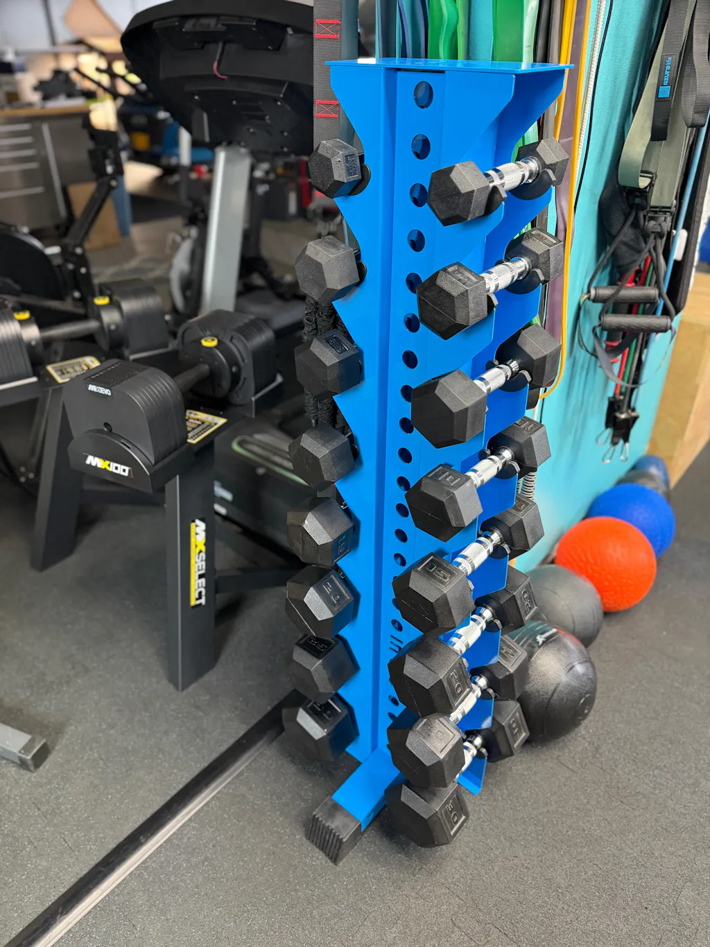 Alpha | 8-Tier Vertical Dumbbell Storage Rack