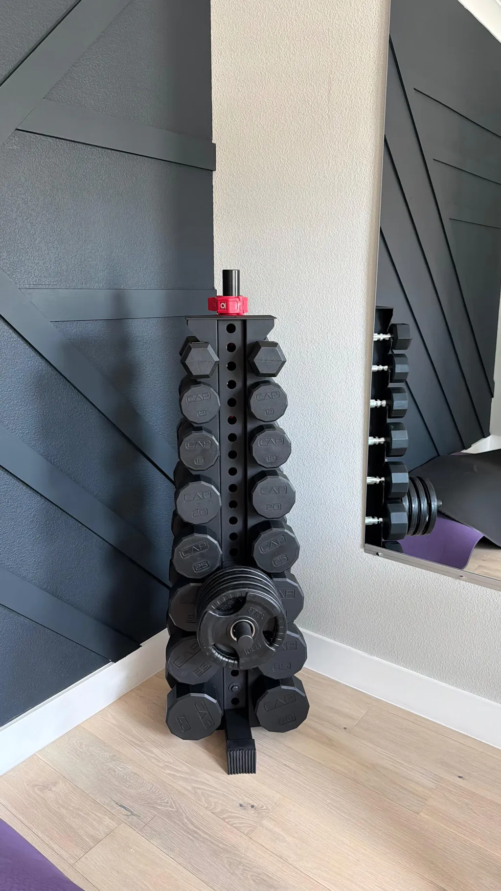 Alpha | 8-Tier Vertical Dumbbell Storage Rack