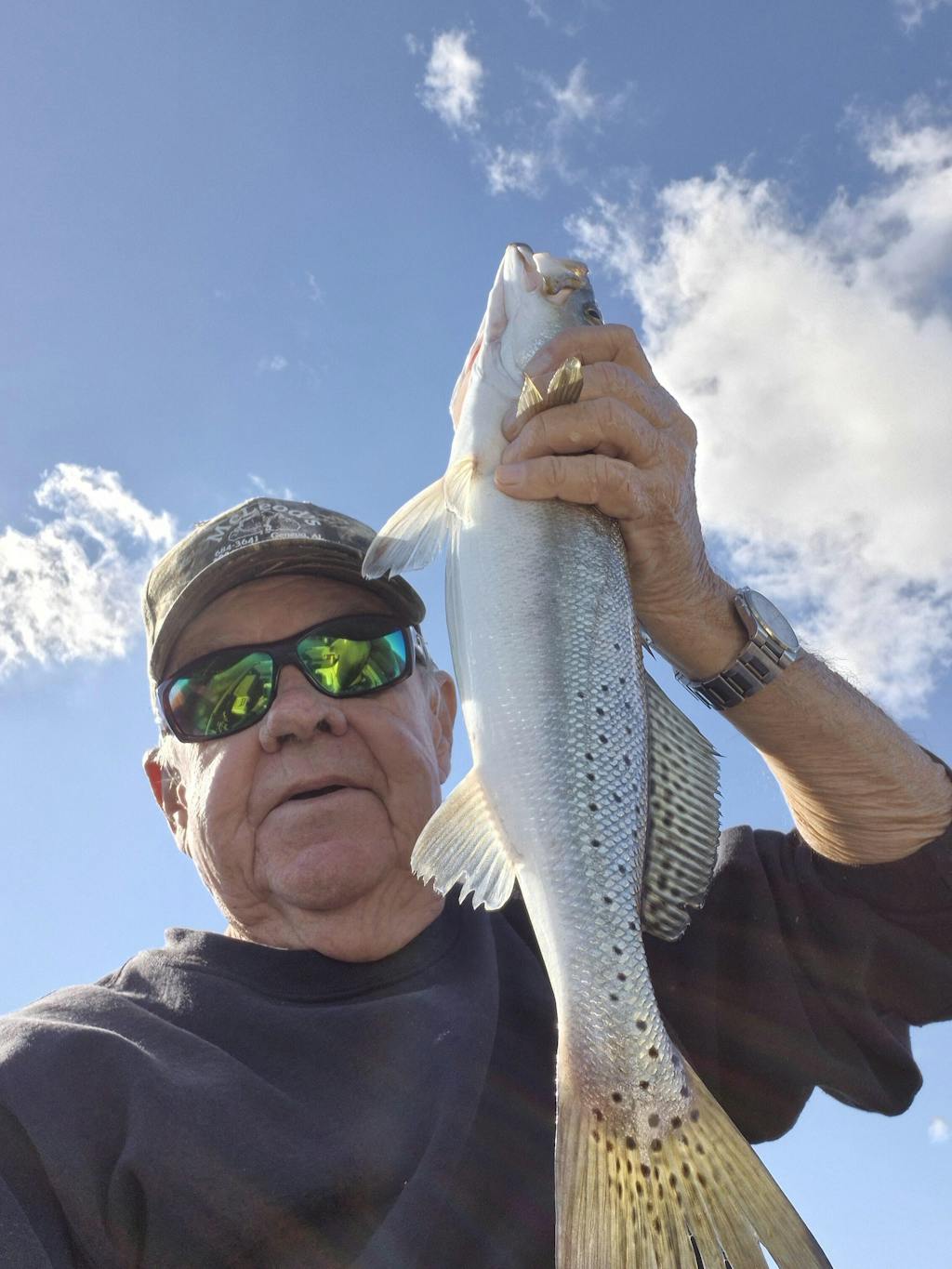 Matrix Mega Shad Soft Plastics