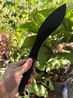 Review picture