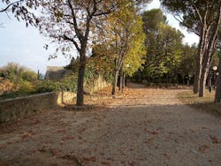 Tagi.《i》hello jelly book