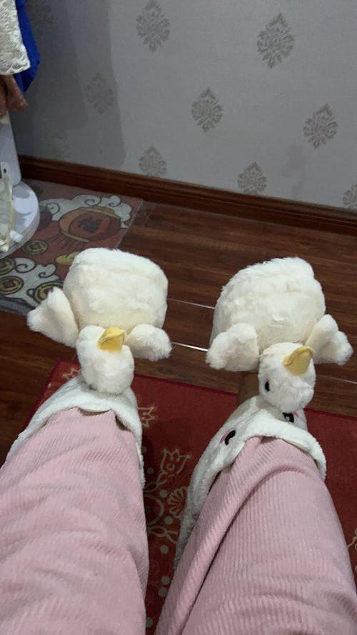 Flappy Duck Slippers