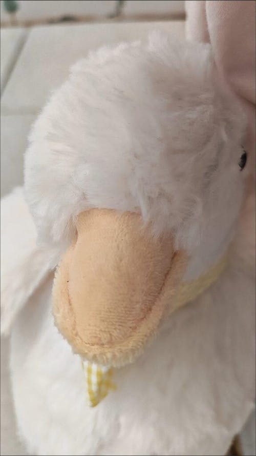 Flappy Duck Slippers