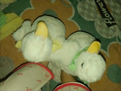 Flappy Duck Slippers
