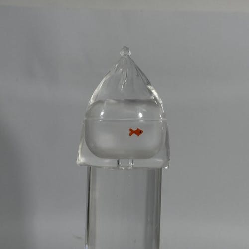 Transparent Garbage Bag Goldfish AirPods Case