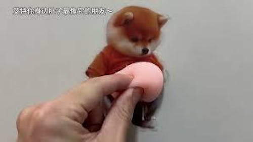 3D Dimensional Stickers Featuring Cute Puppy