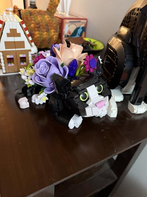 Tuxedo Cat Rose Bouquet Succulent Planter Building Blocks