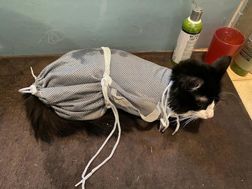 Cat Bathing Bag Adjustable Cat Grooming Net Bag