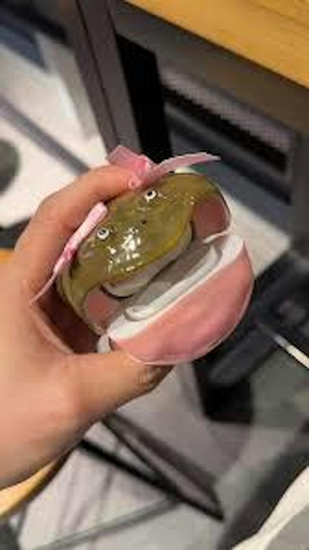 Frog Wireless Earphone Protector Case