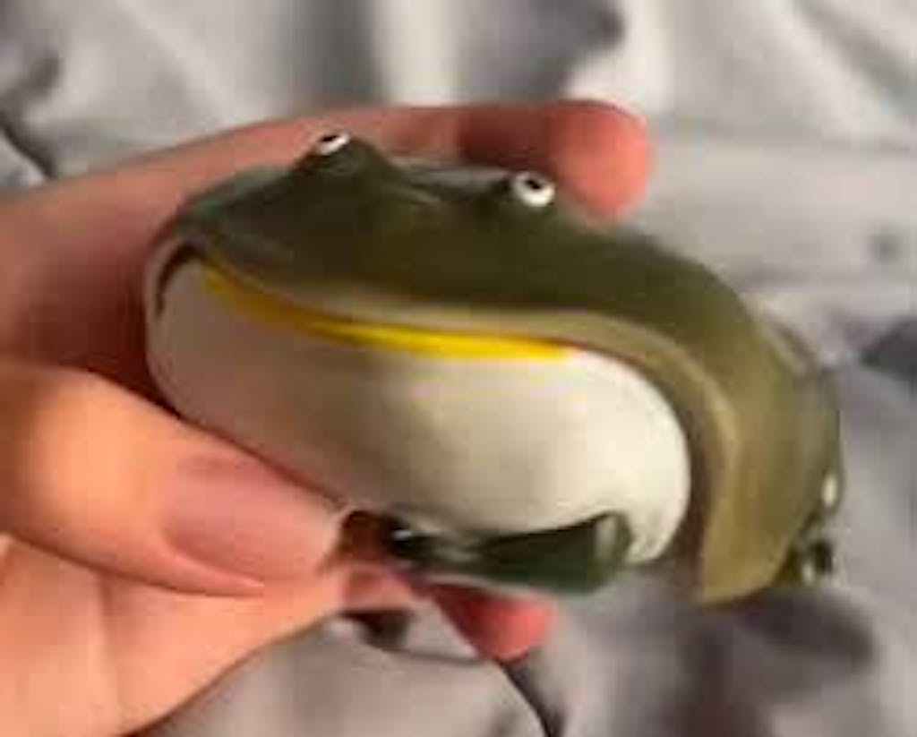 Frog Wireless Earphone Protector Case