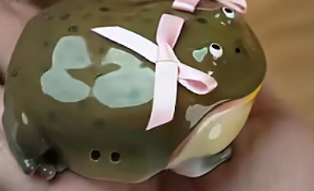 Frog Wireless Earphone Protector Case