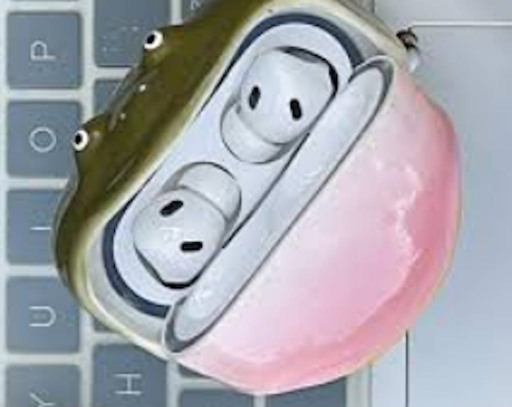 Frog Wireless Earphone Protector Case