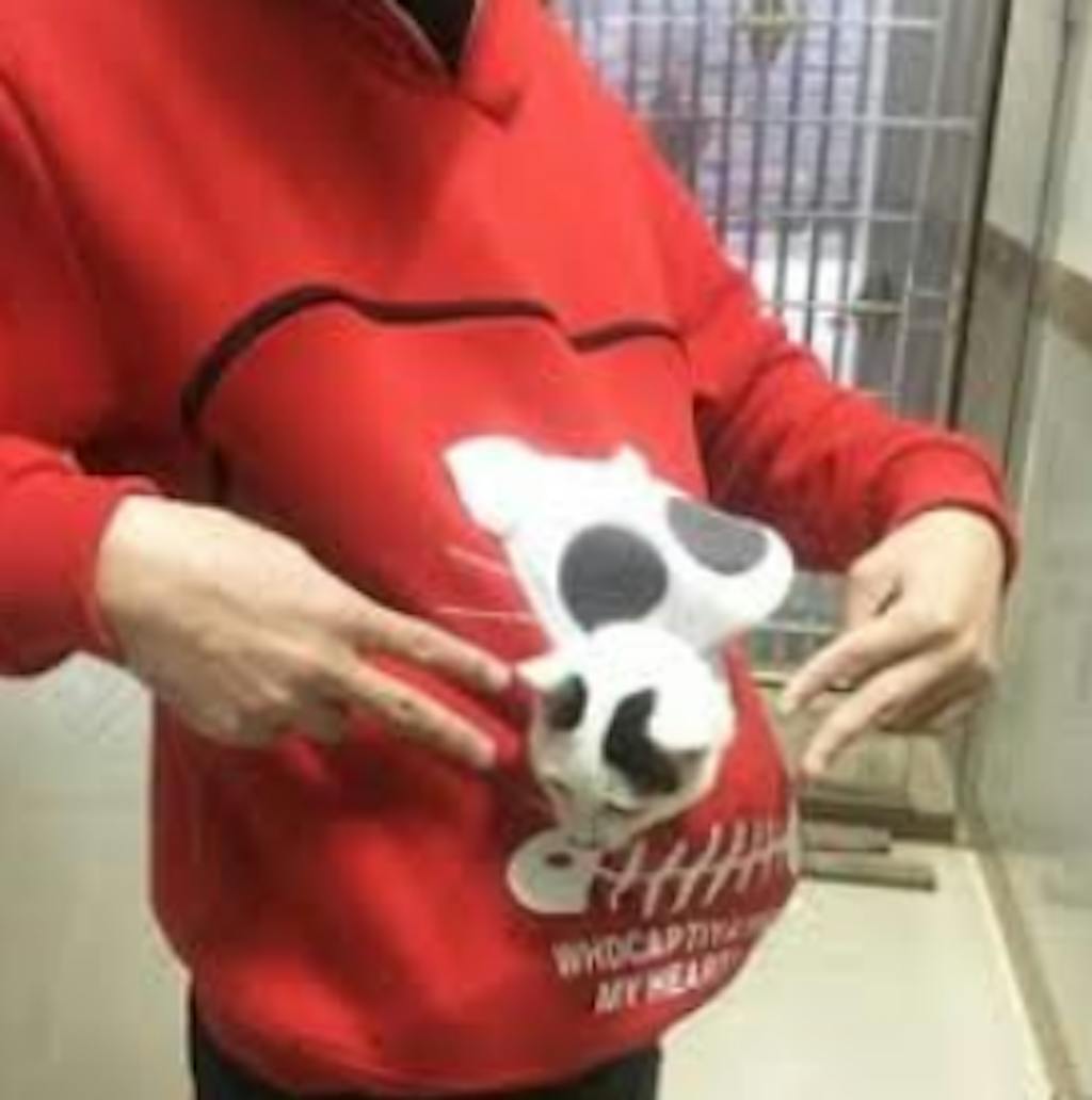 Pet Pouch Hoodie Sweatshirt with Kangaroo Pocket Holder