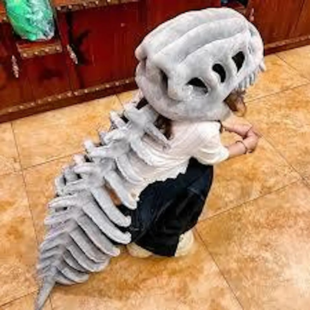 Fossil Snug - The Oddly Satisfying Cushion