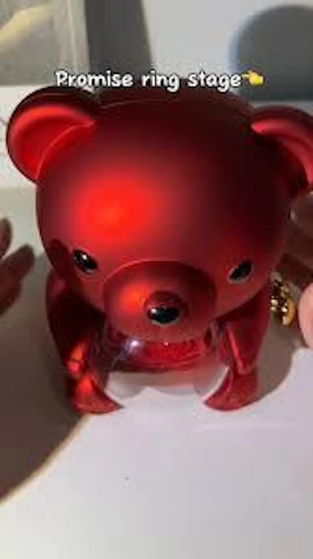 SpinSnug (with ring)