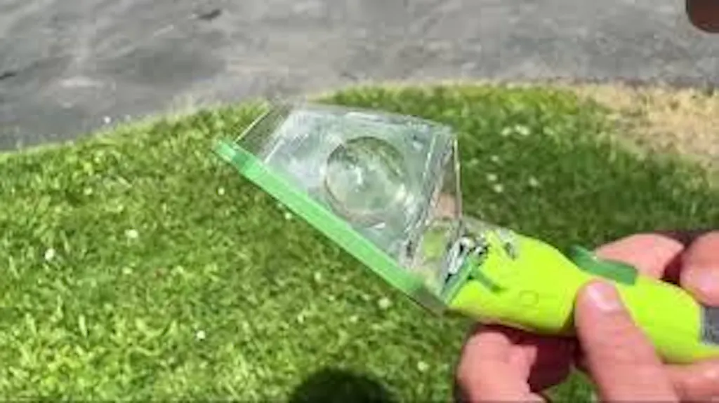 Bug Buddy 
