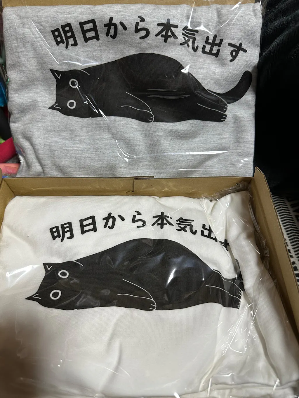 明日から本気出す 猫Tシャツ｜おもしろ猫デザイン