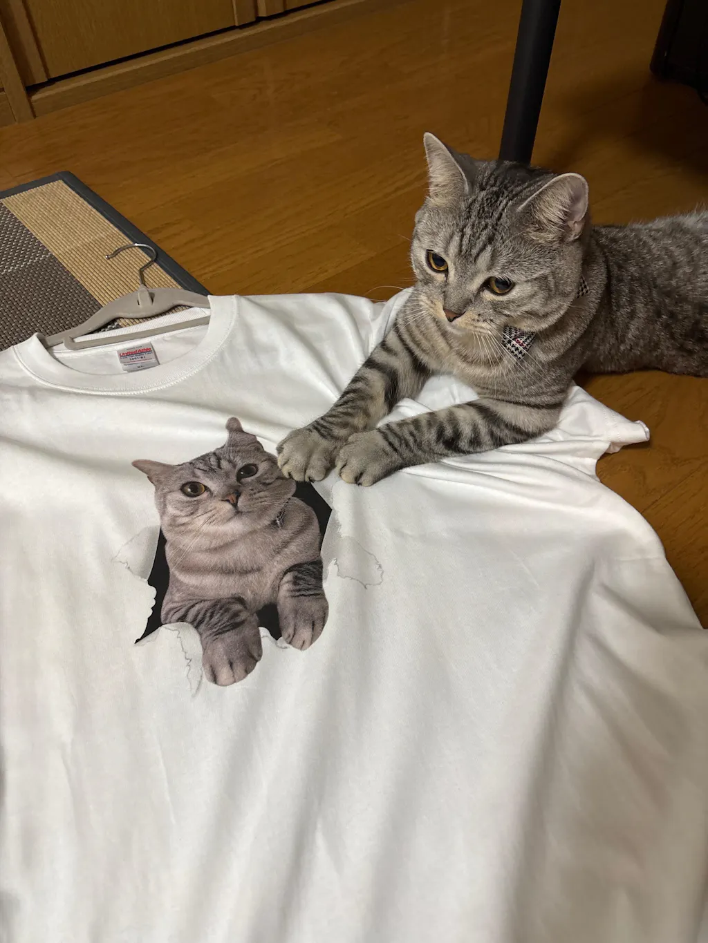 【写真入れ】中から飛び出す うちの子Tシャツ｜ペット（猫/犬）オリジナル｜誕生日・クリスマスギフトに最適