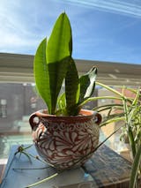 Hand Painted Talavera Planter Pot with Handles, Tabletop Small, Brown & White Cielito Lindo
