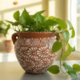 Hand Painted Mexican Talavera Planter Pot with Handles, Tabletop Large, Brown & White, Cielito Lindo