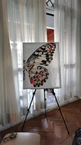 Sayılarla Boyama Numaralı Tuval Seti Fırça Boya Dahil 40x50cm Manzara TL042