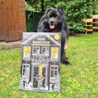 Adventskalender für Hunde