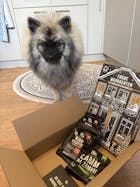 Adventskalender für Hunde