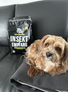 InSektempfang