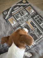 Adventskalender für Hunde