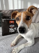 Ich will ein Rind von dir