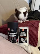 In perfekter Darmonie