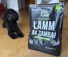 Abo - LammBa Zamba! - softes Trockenfutter mit Lamm für Hunde