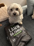LammBa Zamba! - 1,5kg