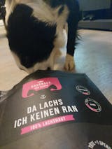 Da Lachs ich keinen ran