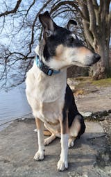 Let me ENTErtain you