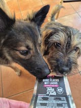 Ohne Flachs mit Lachs