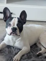 Probe LammSam hab ich Hunger