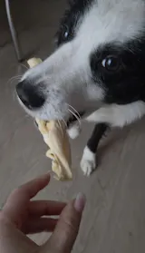 Garantiert keine Lammeweile