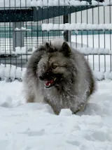 Perfekt PferdTräglich