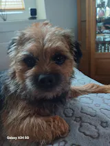 Perfekt PferdTräglich