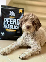 Perfekt PferdTräglich