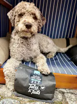 EnteLich Zähne zeigen