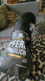 Perfekt PferdTräglich