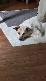 Let me ENTErtain you