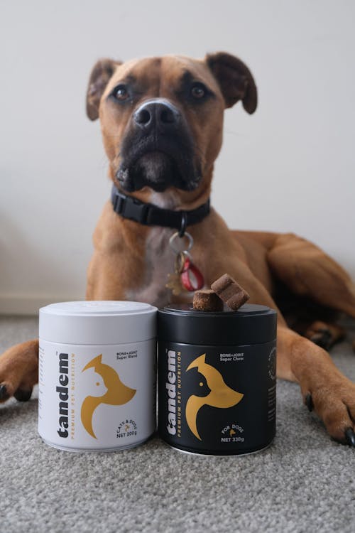 BONE+JOINT Super Chews