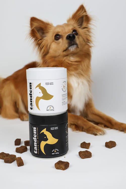 BONE+JOINT Super Chews