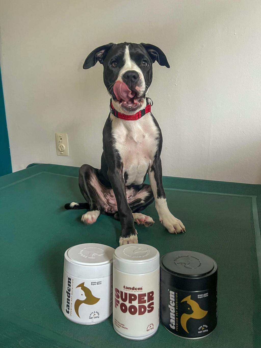 BONE+JOINT Super Chews