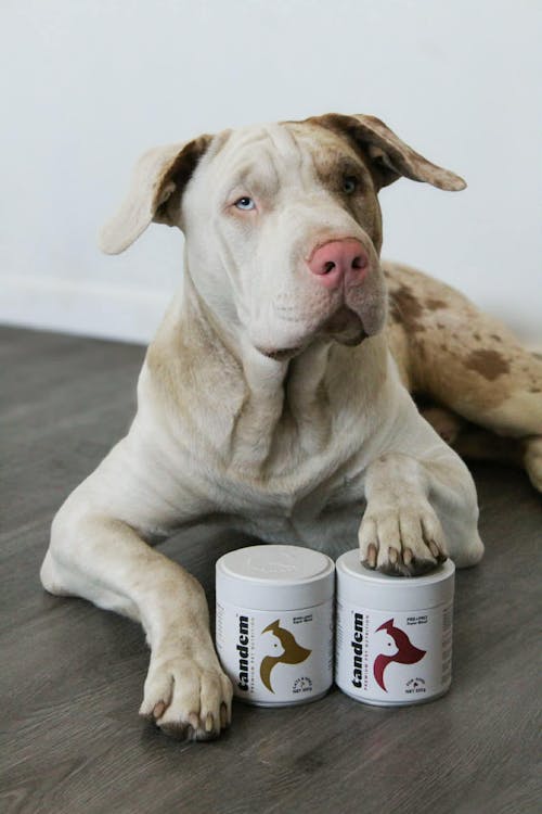 BONE+JOINT Super Blend Refill