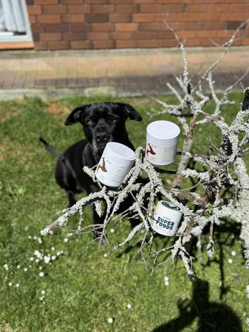 BONE+JOINT Super Blend