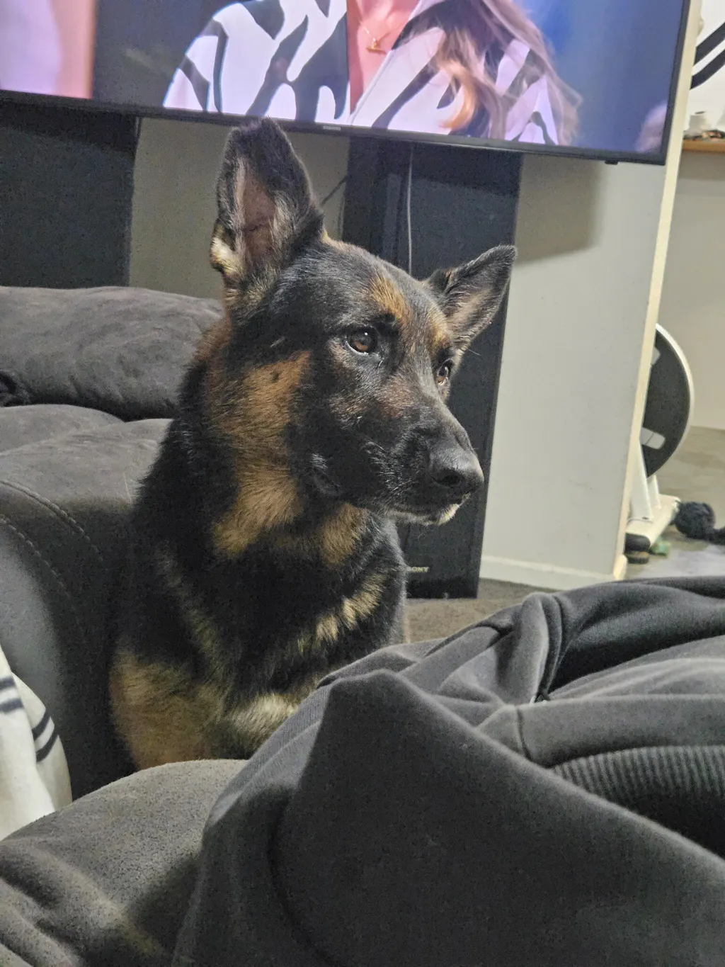 BONE+JOINT Super Blend Refill